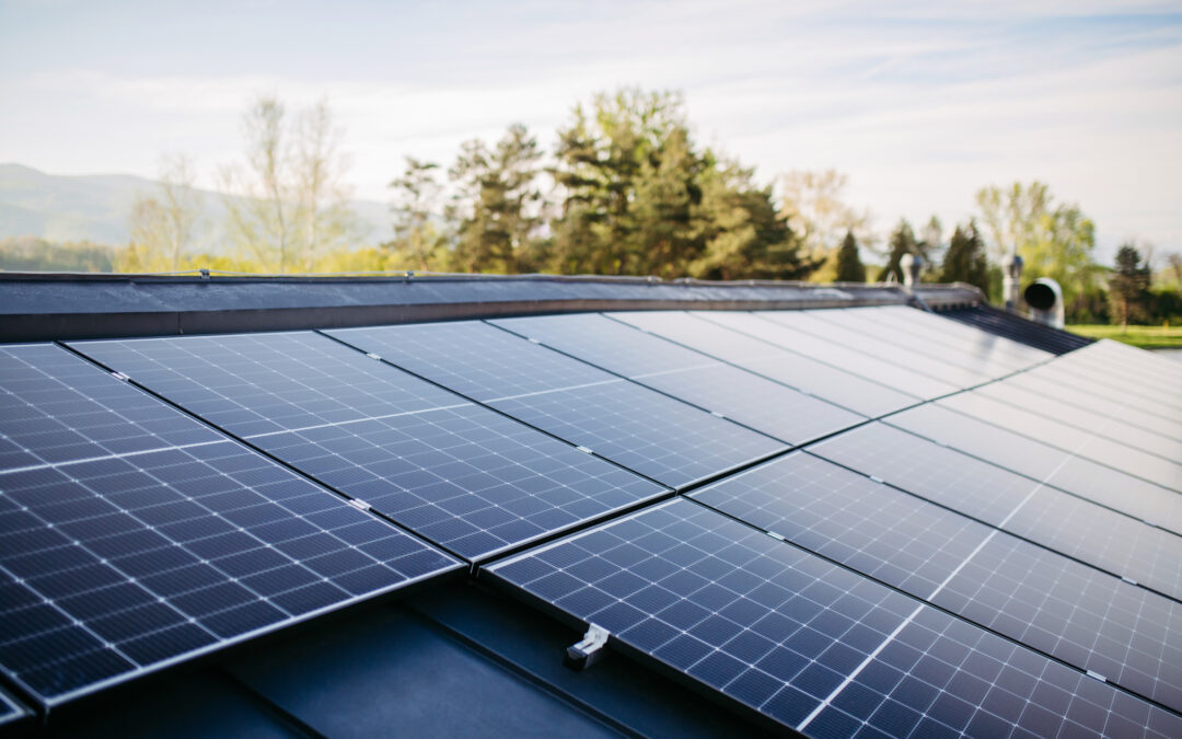 Eco-Friendly Living: Innovations in Sustainable House Construction