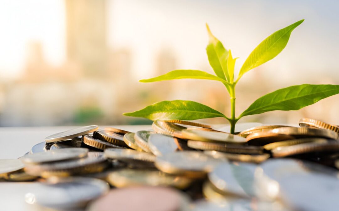 Sustainable Home Plans: How to Save Money and the Environment